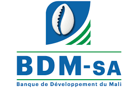 BDM SA — client NVI Facility